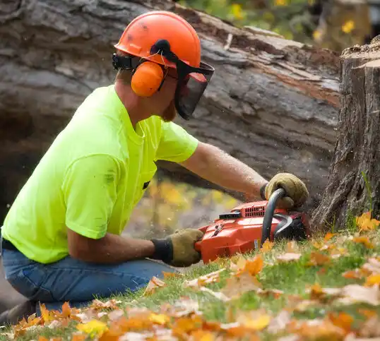 tree services Miner